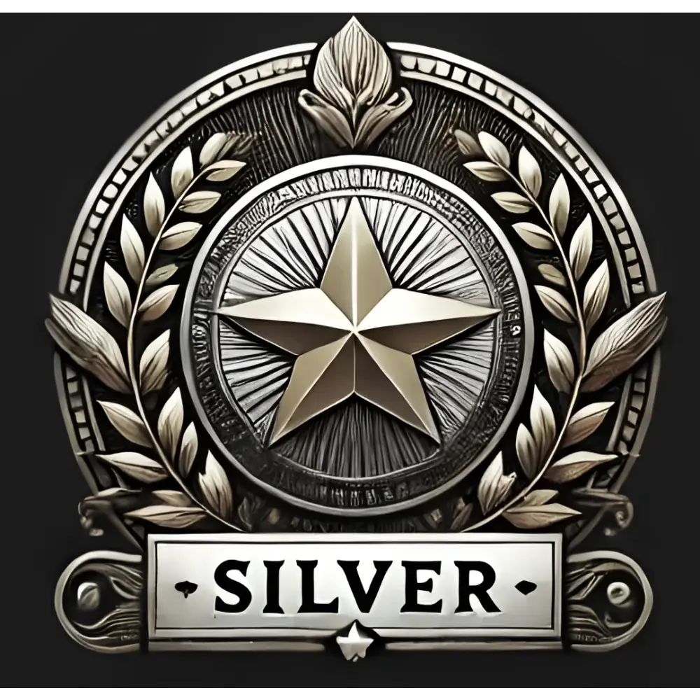Silver star medal displayed on custom-made Silver Tier Equine Story Portrait artwork
