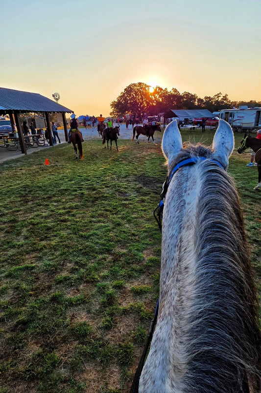 From Dust to Glory — The Whole Hog Redux