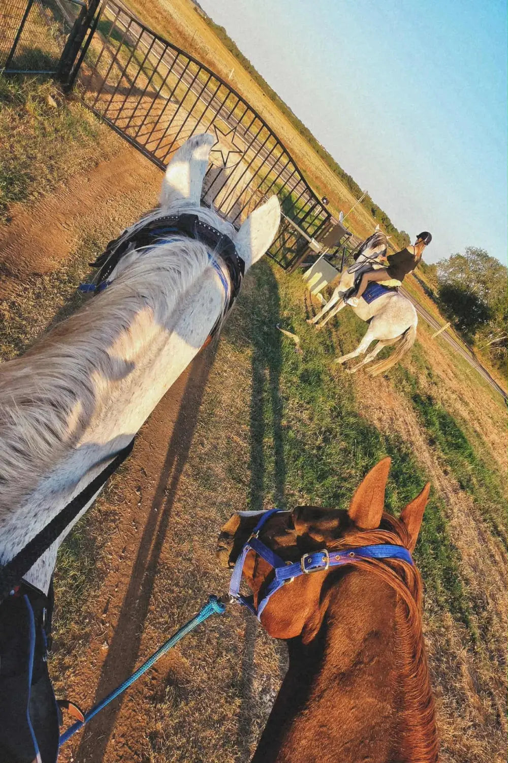 Riding Into the Chaos: An Unforgettable Texas Sunset Trail Ride