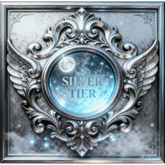Silver tier custom equine story portrait featuring a silver winged moon medallion on final artwork framed print