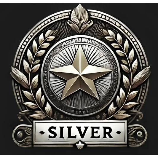 Silver star medal displayed on custom-made Silver Tier Equine Story Portrait artwork