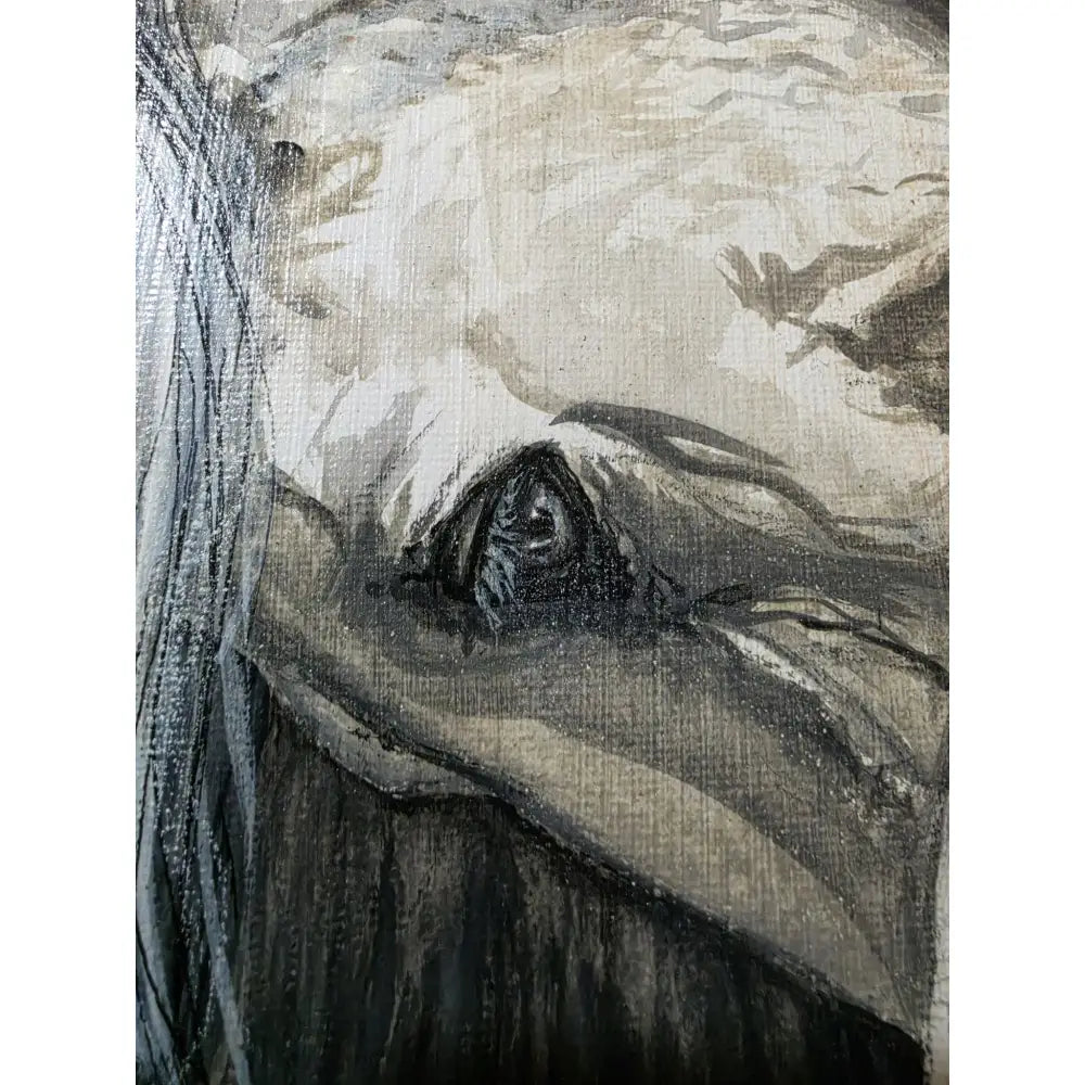 A monochromatic charcoal sketch of a human eye in the untamed grace original acrylic painting by nadine ewing
